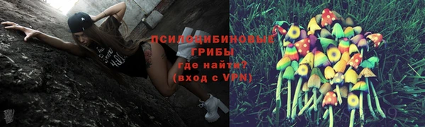 твердый Алзамай