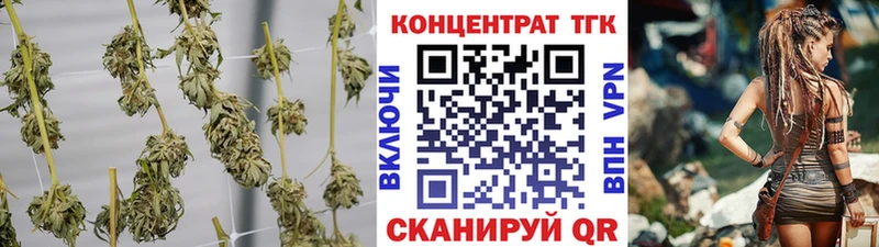 ТГК THC oil  KRAKEN зеркало  Чистополь 