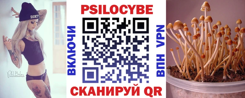 mega как войти где найти Чистополь Псилоцибиновые грибы Magic Shrooms